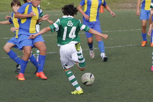 莱万多夫斯基爆冷击败老鹰，问鼎冠军引爆全场！